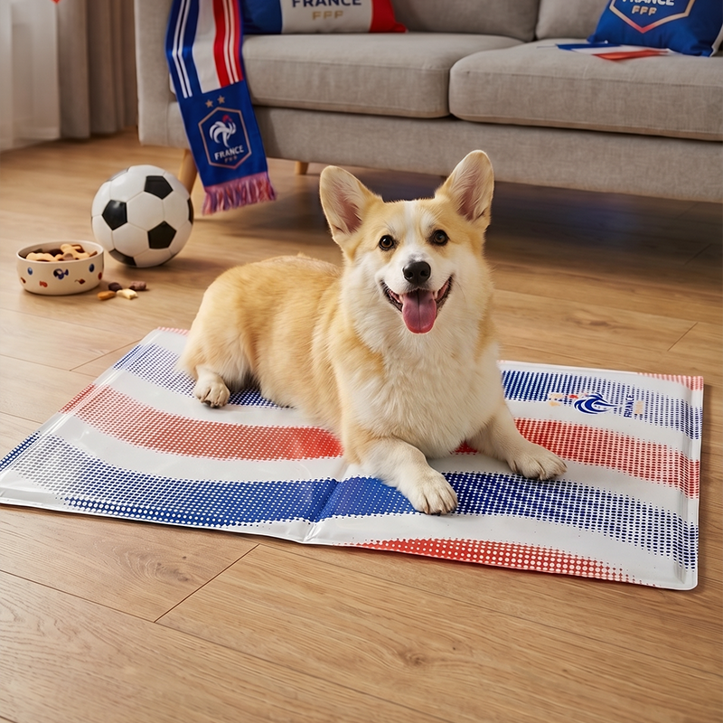 France FFF Pet Cooling Mat